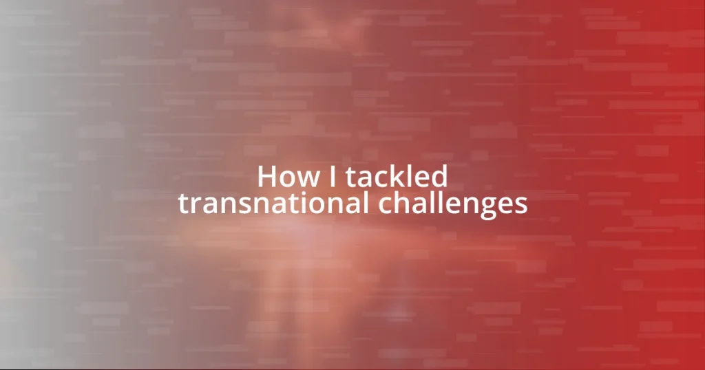 How I tackled transnational challenges