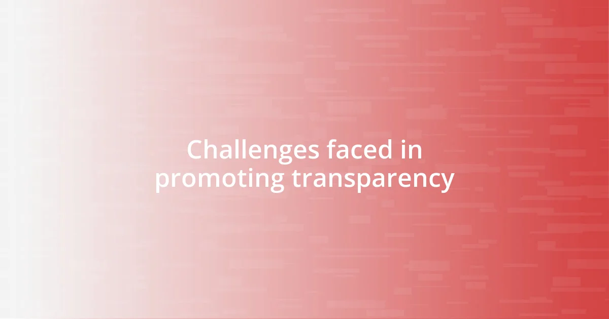 Challenges faced in promoting transparency